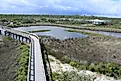 Big Lagoon State Park In Pensacola Florida.