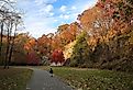 The rock climbing wall at Alapocas Run State Park, Wilmington, Delaware, USA in the colorful fall