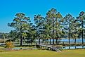 The Walking Bridge to the island on Reed Bingham Lake in Adel, Georgia 