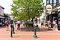 The vibrant Washington Street Mall in Cape May, NJ, lined with shops and restaurants, featuring iconic Victorian-era design. Editorial credit: George Wirt / Shutterstock.com