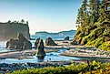 Olympic National Park Ruby Beach Washington