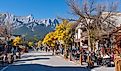 Canmore, Alberta, Canada. Image credit: Shawn.ccf / Shutterstock.com.