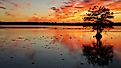 Sunset on Lake Seminole, Georgia.