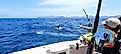 Caught a marlin jumping near the boat