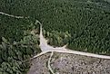 Aerial forest roads and logging clearings near Merrill Lake, Washington.