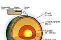 Both continental and oceanic crust make the uppermost part of the earth. 