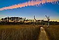 Sunset on the Avian Trail at Skidaway Island State Park, GA.