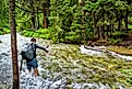 A hiker trying to cross a fast-flowing river in the White River National Forest, Colorado.
