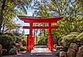A torii gate stands in the Birmingham Botanical Gardens in Alabama, framed by lush greenery in the soft light of the early afternoon.