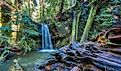 Sempervirens Falls in Big Basin Redwoods State Park.