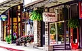 Shops in downtown Eureka Springs, Arkansas. Editorial credit: rjjones / Shutterstock.com.
