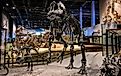 Dinosaurs at Natural History Museum of Utah, Salt Lake City, Utah. Image credit Matthew Thomas Allen via Shutterstock.