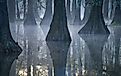 Atchafalaya Basin