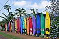 Colorful surfboards lined up on the street in Paia. Image credit EQRoy via Shutterstock.