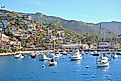 Boats in Avalon, California 