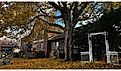 Leaves falling at Amana Colonies, Iowa.