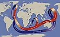 The Thermohaline Circulation, often called the Global Ocean Conveyor Belt. Via Shutterstock / Nicholas Primola