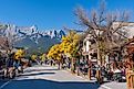Downtown scene in Canmore, Alberta, Canada. Editorial credit: Shawn.ccf / Shutterstock.com.