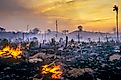 <p>The Earth has lost roughly 420 million hectares of forest since 1990, an area larger than India, according to the State of the World's Forests report from the United Nations' Food and Agriculture Organization. The pace has eased, and replanting now off