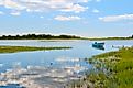 Salt marsh near Niantic, Connecticut.