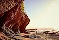 Tourist walking on the beach under a beautiful cliff on the coast of New Brunswick, Canada at the Bay of Fundy at low tide. Image credit Julien Faugere via Shutterstock.