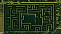 The Hedge Maze at Shamrock Christmas Tree Farm in Mattituck, New York. Image credit: Shamrock Christmas Tree Farm