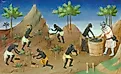 Enslaved people harvesting pepper. Illustration from a French edition of The Travels of Marco Polo. Image credit: Maître de Boucicaut et Maître de Mazarine, Public domain, via Wikimedia Commons.