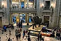 Smithsonian National Museum of Natural History, Editorial credit: becauz gao / Shutterstock.com