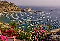 Overlooking Avalon, California.