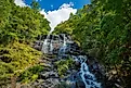 Amicalola Falls State Park in Dawsonville Georgia.