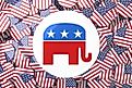 The elephant is a symbol used to represent the Republican party. 