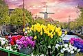 Windmill and spring flowers blooming in Holland, Michigan.