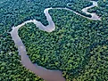 The Amazon River in the tropical rainforest