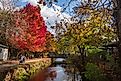 Delaware Canal Trail in Lambertville, New Jersey. Editorial credit: JWCohen / Shutterstock.com.