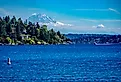 A view of Lake Washington and Mount Rainier from Seward Park in Seattle, Washington.