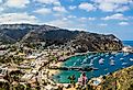 Santa Catalina Island, California.