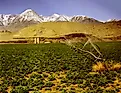 Watering a farm in Imperial Valley, California
