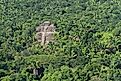 An ancient city of the Maya civilization in the forest.