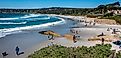 The gorgeous beach at Carmel-by-the-Sea, California.