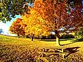 Welcome to Wilmington: pictured here, Brandywine Creek State Park.