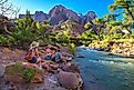 River flowing through the Zion National Park, Utah.