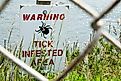 A warning sign for ticks alerts visitors in the wilderness.