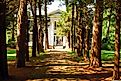 Rowan Oak, William Faulkner's home in Oxford, Mississippi.