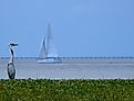 Lake Pontchartrain