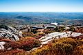 New Hampshire forest and bushes seen from the top of Mount Monadnock.