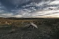 Camping in the Anza-Borrego Desert, California. 