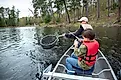 A dad nets a nice walleye caught by his son on a lake in northern Minnesota