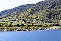 Charming houses sit near the Grey River in Greymouth, New Zealand.