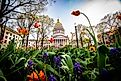 Charleston West Virginia Captiol Building in the Spring. Editorial Photo Credit: Jodie Witmer via Shutterstock. 