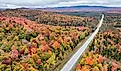 Near Panther Mountain Bog in Adirondack Park in Upstate New York.